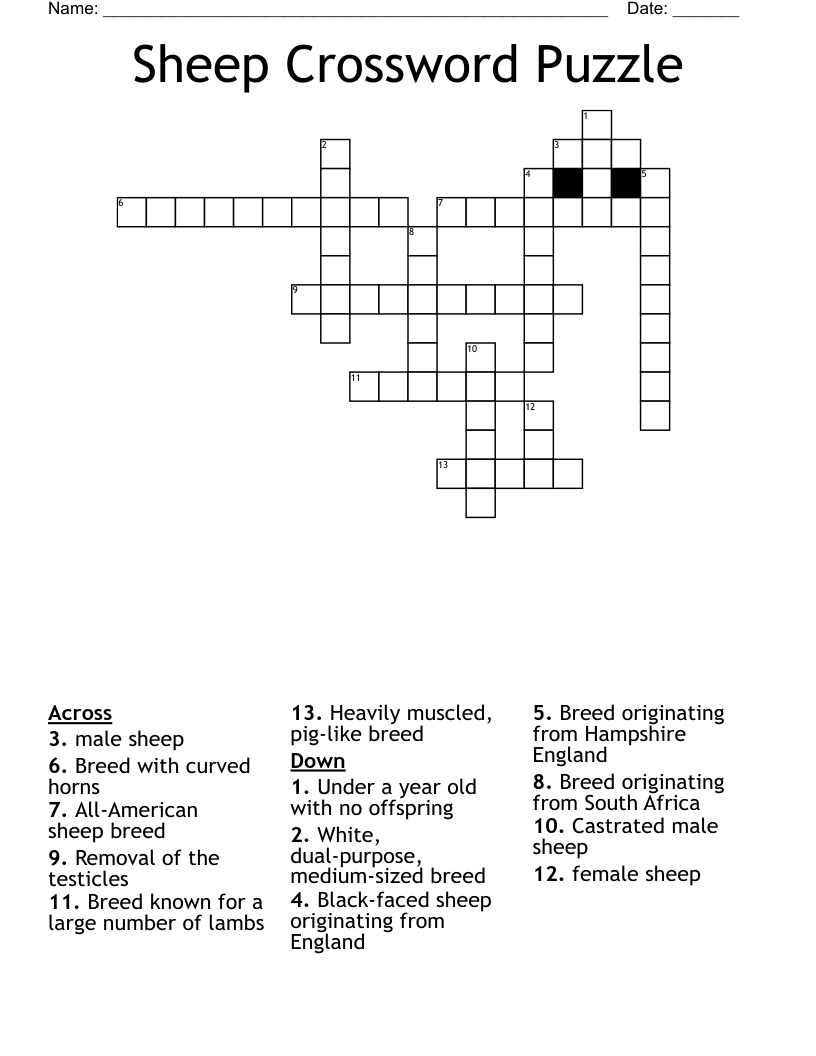 Sheep Crossword Puzzle WordMint