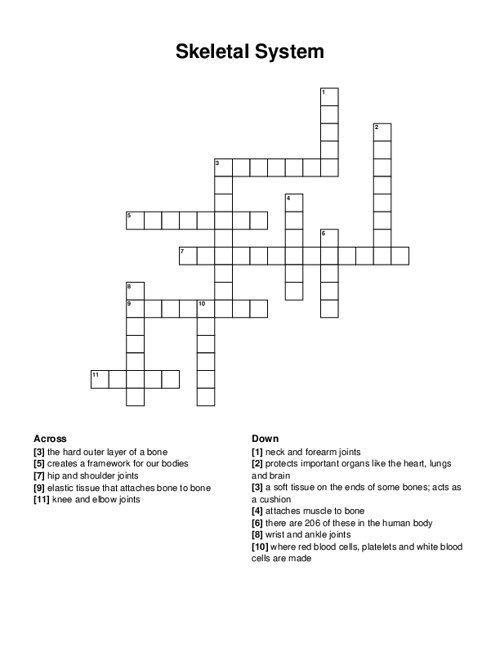 Skeletal System Crossword Puzzle Skeletal System Crossword Puzzle