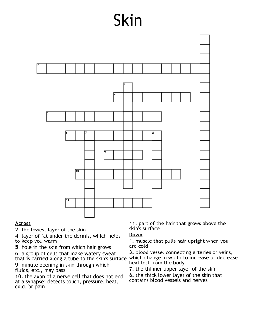 Skin Crossword WordMint Skin Crossword WordMint
