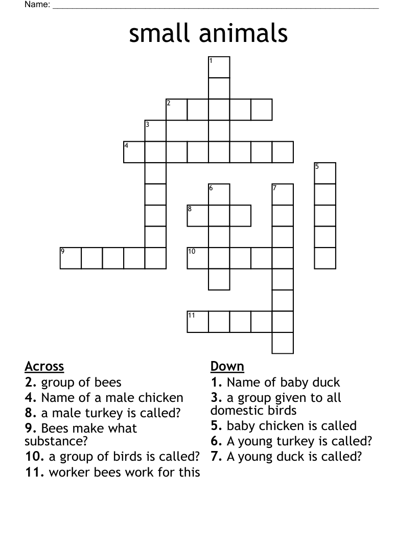 small duck crossword clue