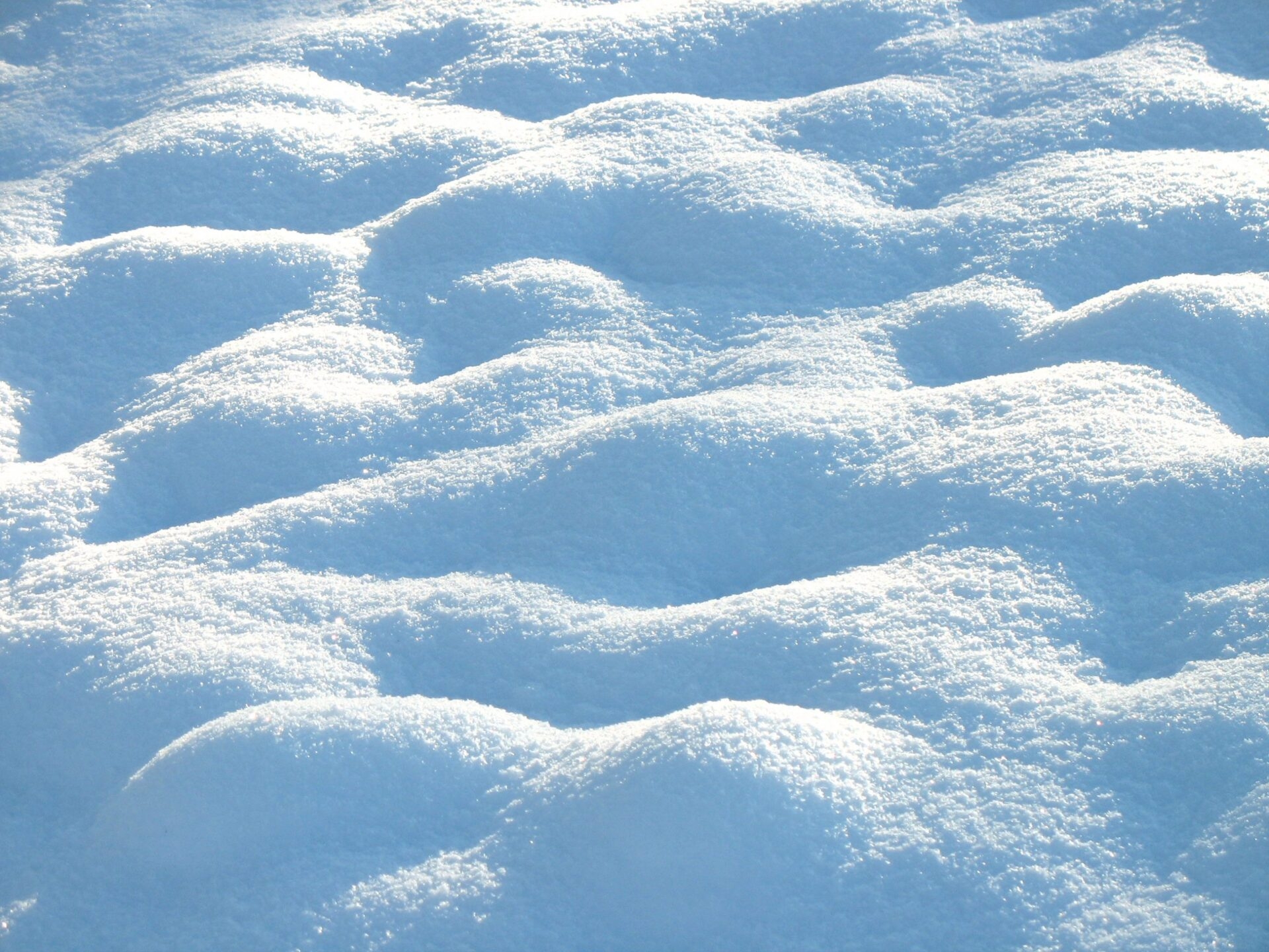 Snow Field Crossword Clue Ganalytic