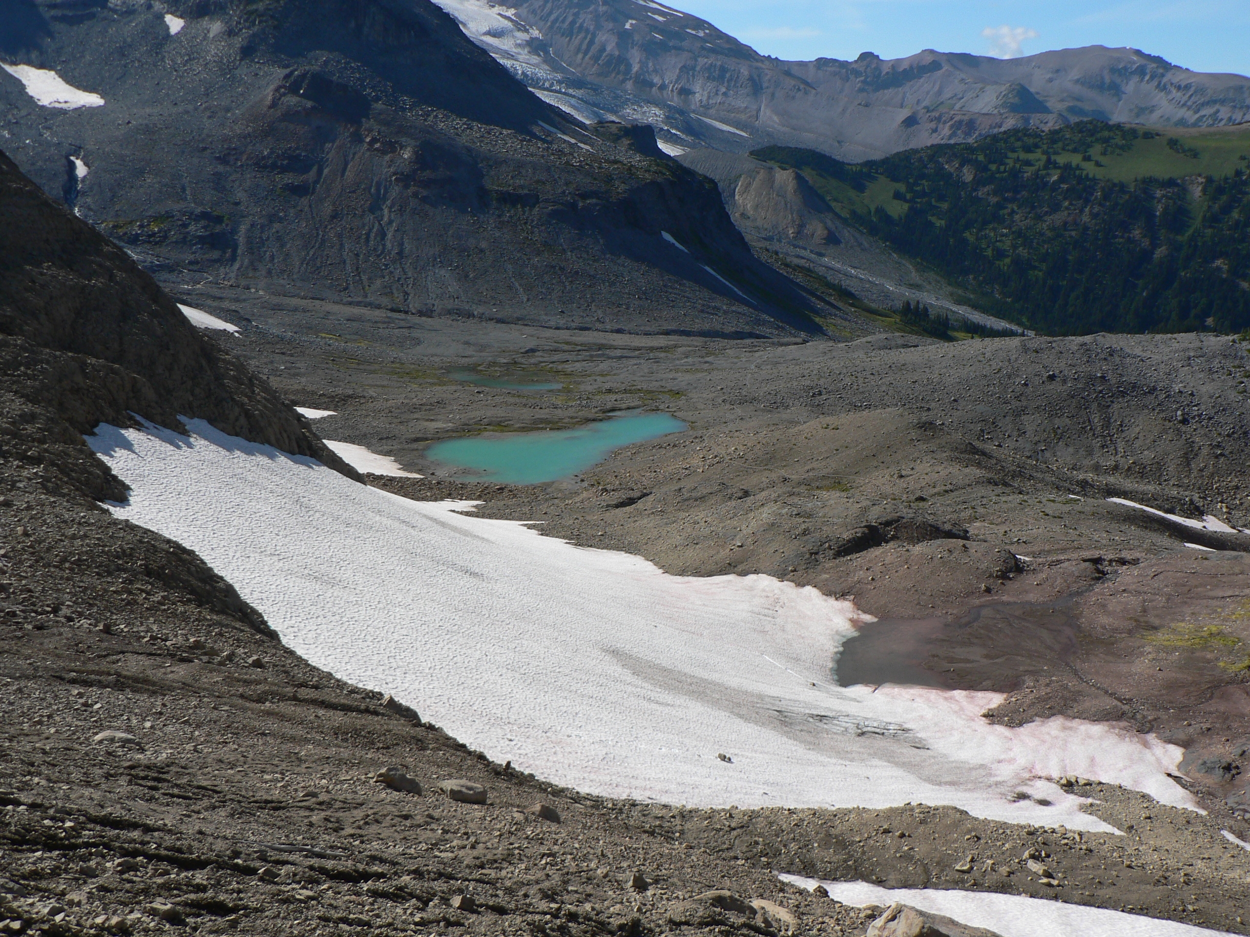 Snow Field Wikipedia