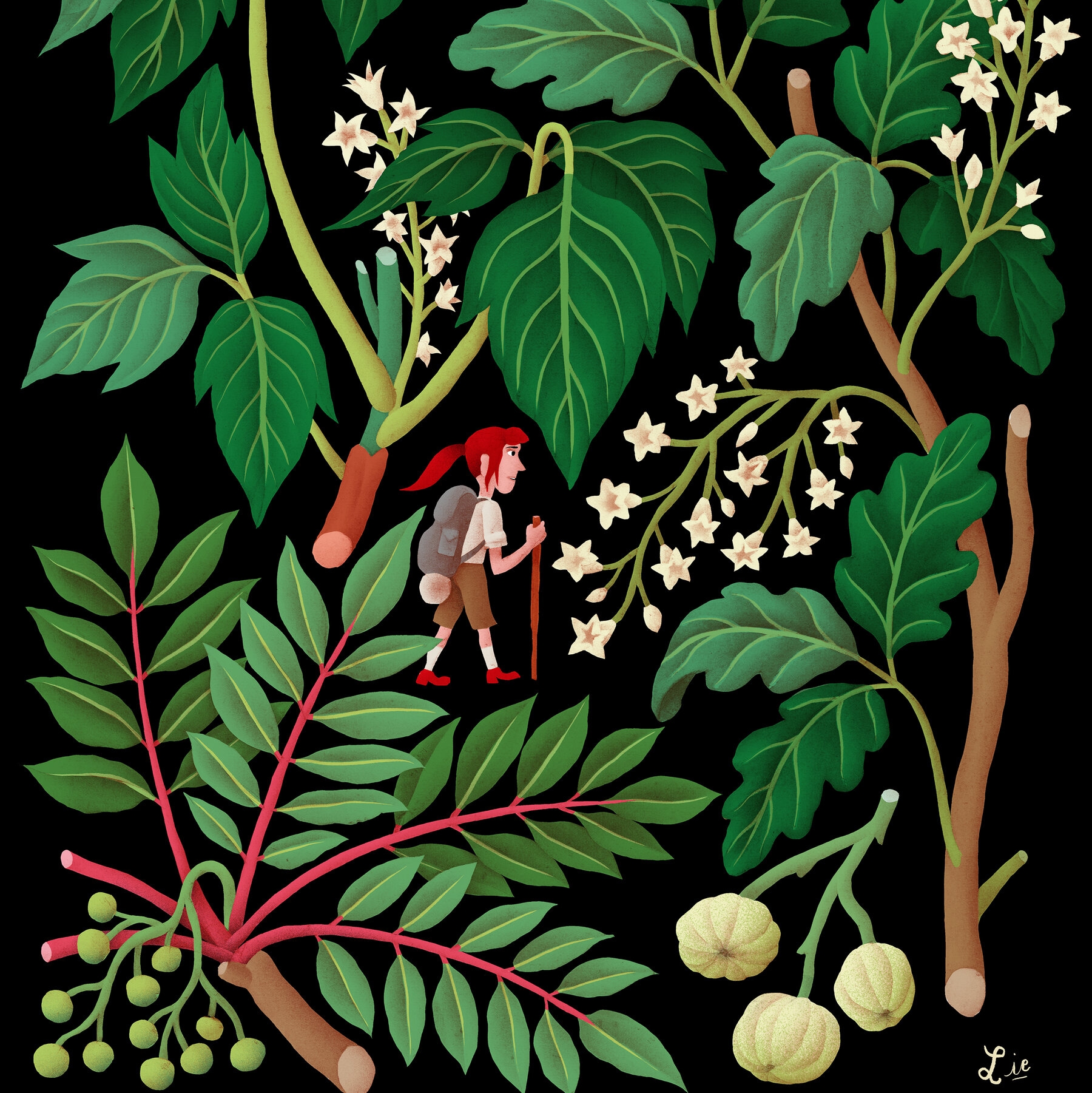 poison ivy feature crossword