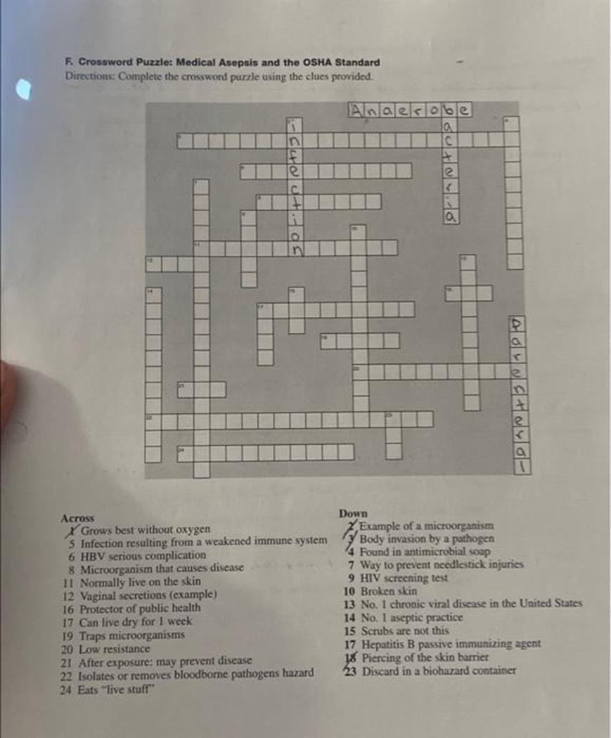 Solved F Crossword Puzzle Medical Asepsis And The OSHA Standard 1 Answer Transtutors