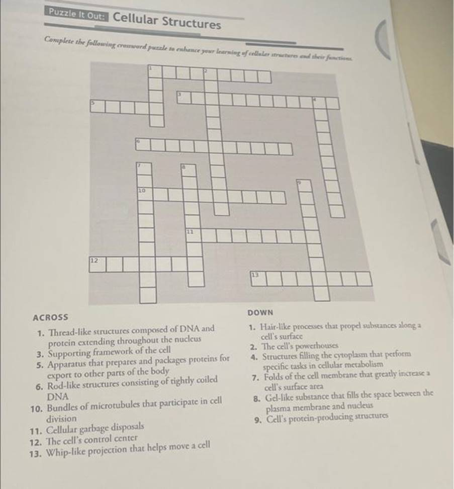 Solved Puzzle It Out Cellular Structures Complete The Following 1 Answer Transtutors