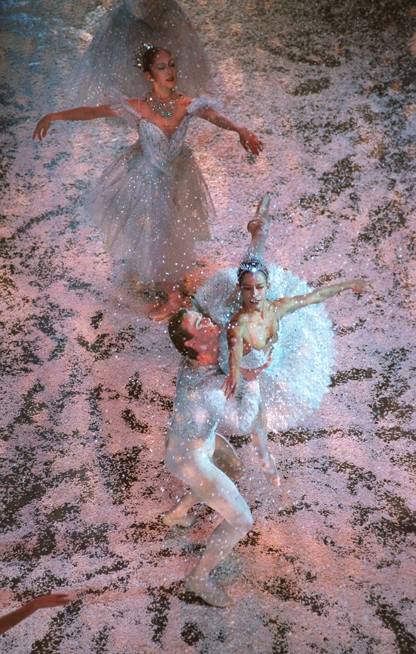 Sophie Flack Not All The Sugar Plums The Boston Globe