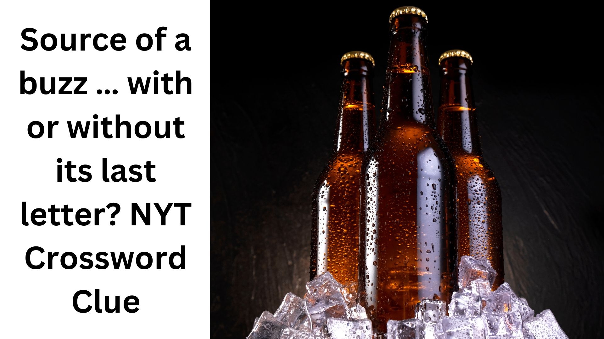 Source Of A Buzz With Or Without Its Last Letter NYT Crossword Clue August 26 2024
