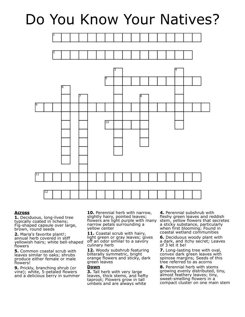 Spiky Flower Crossword Puzzle Clue Best Flower Site