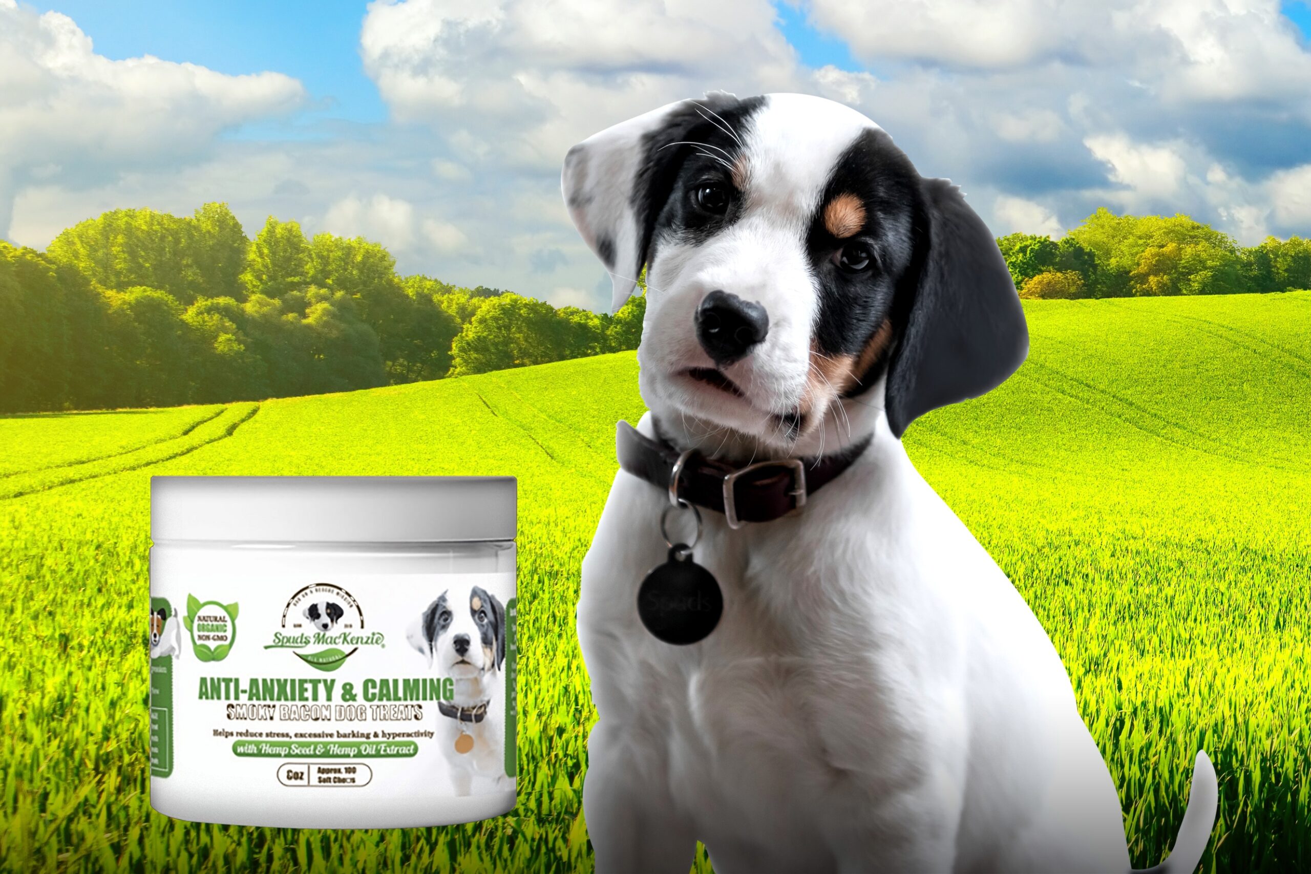 Spuds MacKenzie Is Back In Marketing This Time Selling Hemp Treats For Dogs Ad Age