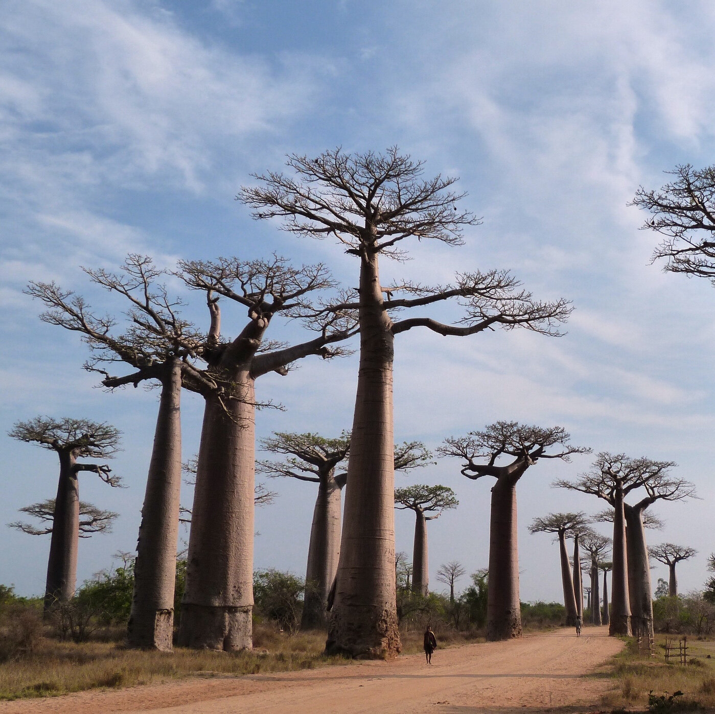 Stuff In Microdots The New York Times Stuff In Microdots The New York Times