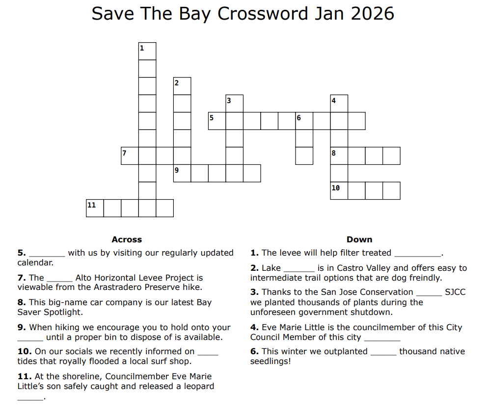 Test Your Knowledge New Year New Puzzles Save The Bay