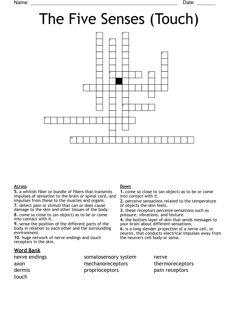 The Five Senses Touch Crossword WordMint