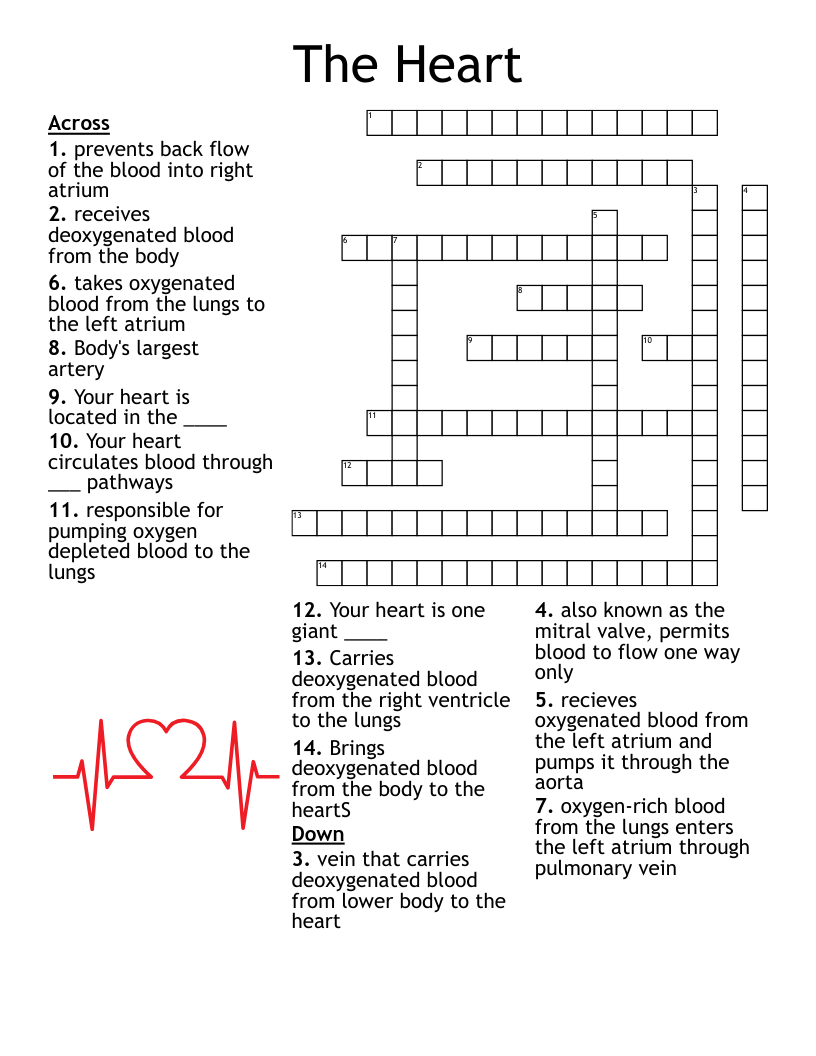 The Heart Crossword WordMint The Heart Crossword WordMint