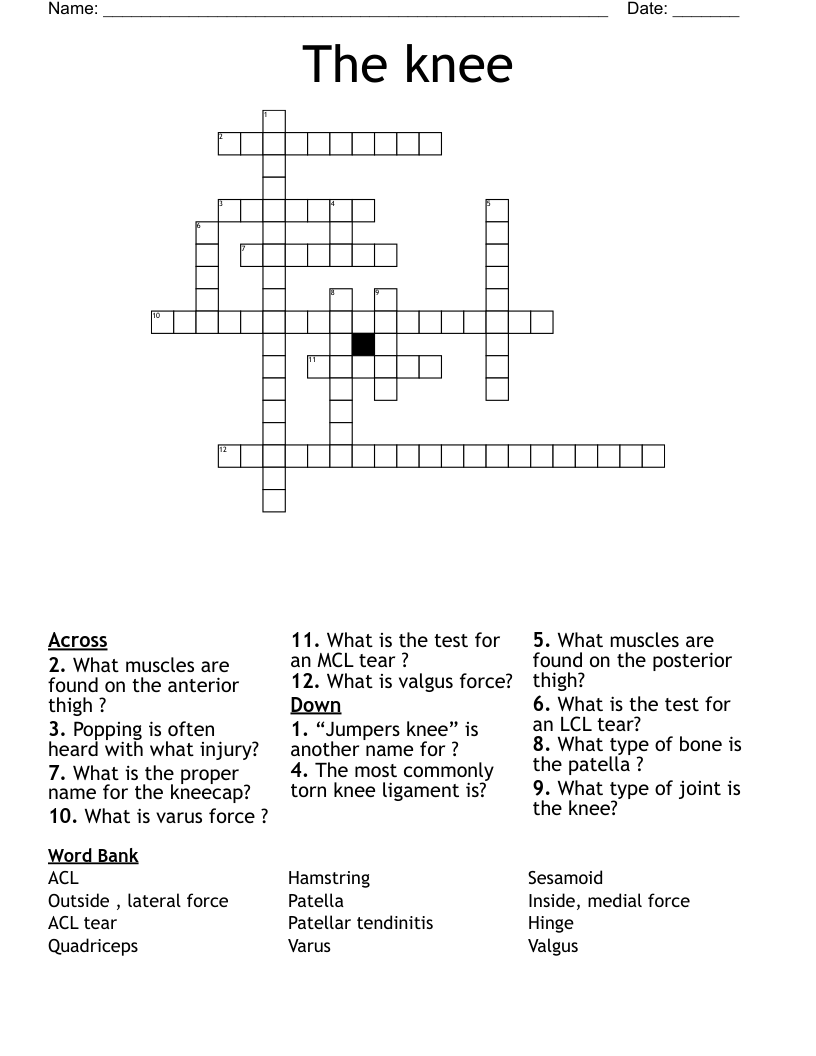 The Knee Crossword WordMint