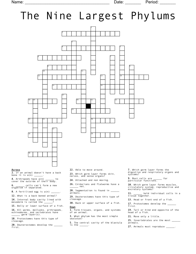 The Nine Largest Phylums Crossword WordMint