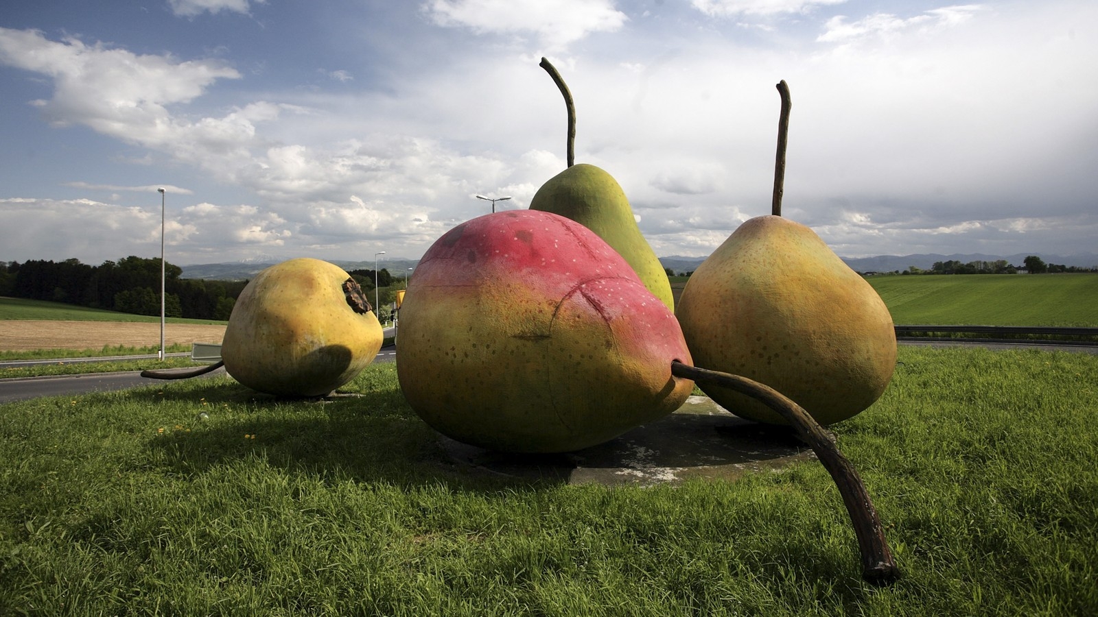 pear variety crossword clue