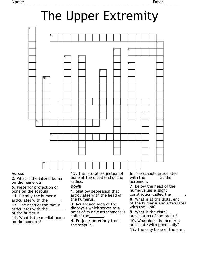 The Upper Extremity Crossword WordMint