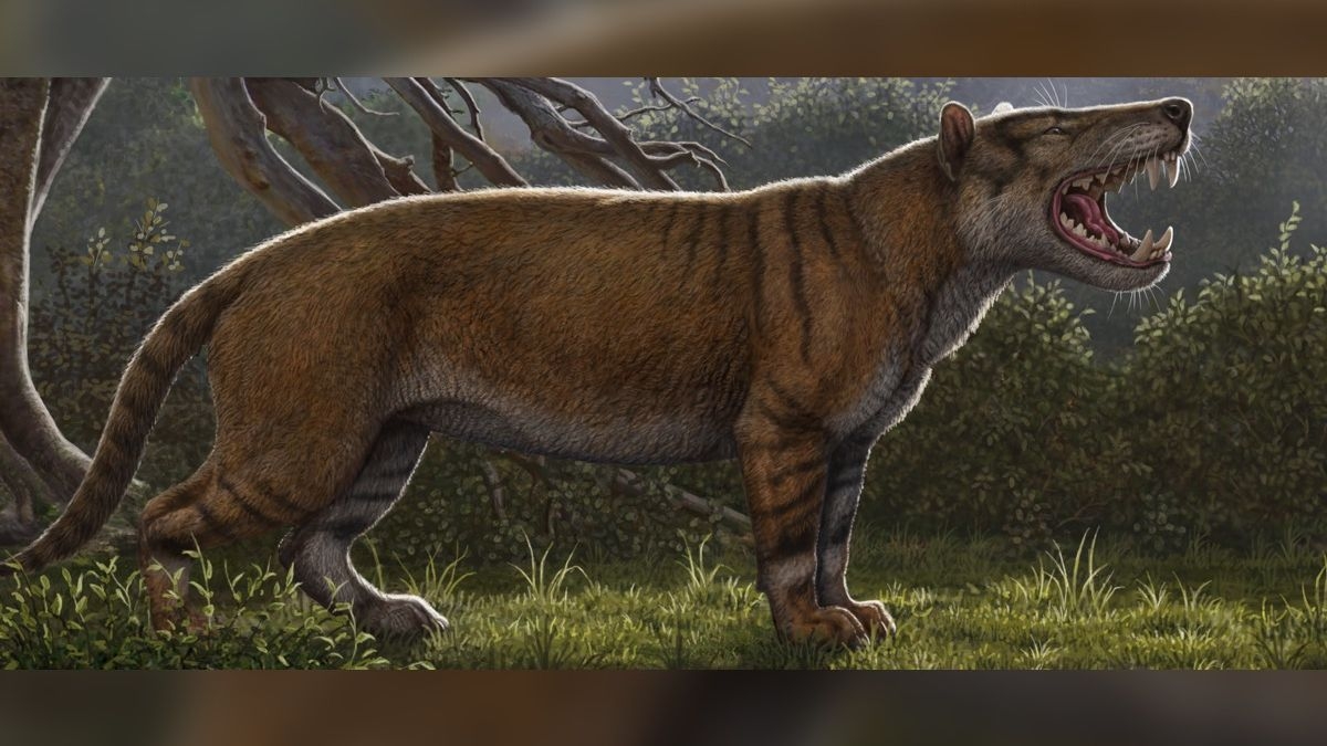 This Ancient Warg Was Scarier Than A Tolkien Beast Terrorized Kenya 22 Million Years Ago Live Science