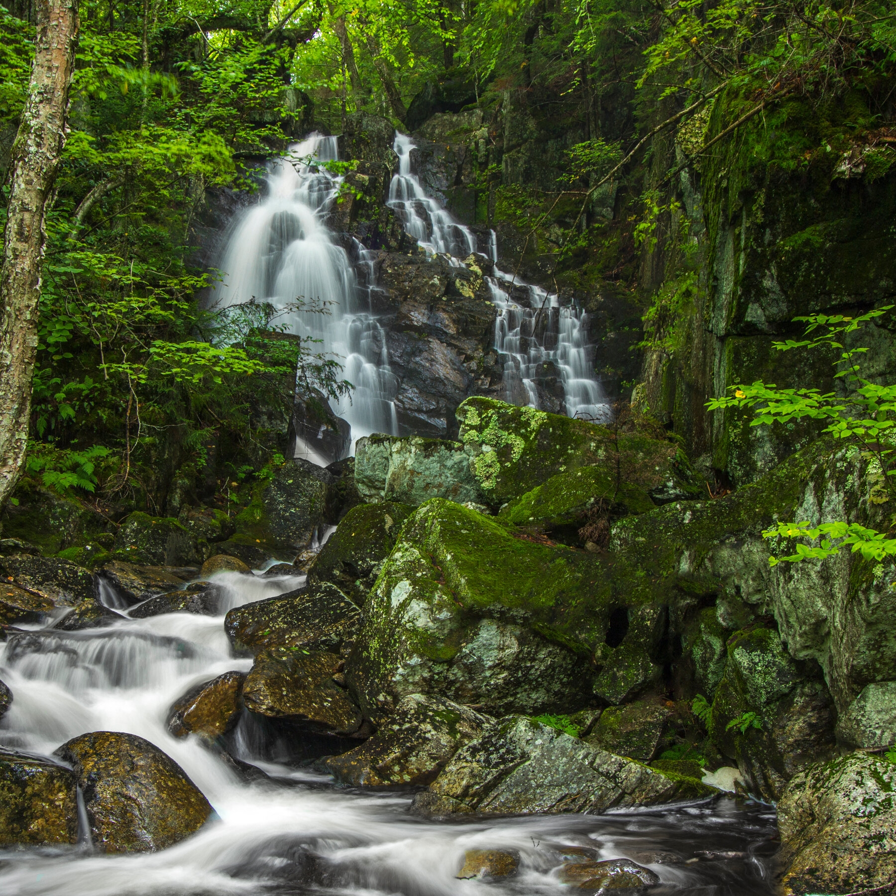 large waterfalls nyt crossword