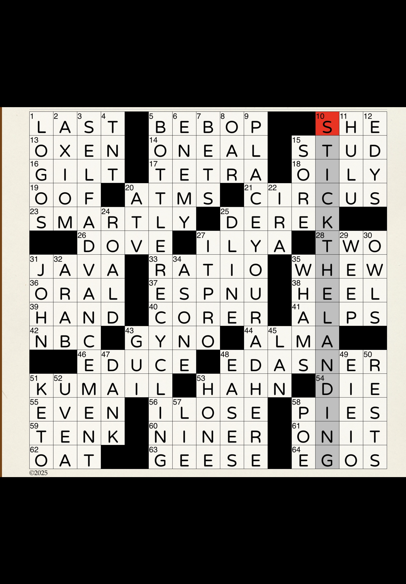 loose fellow crossword clue 4 letters