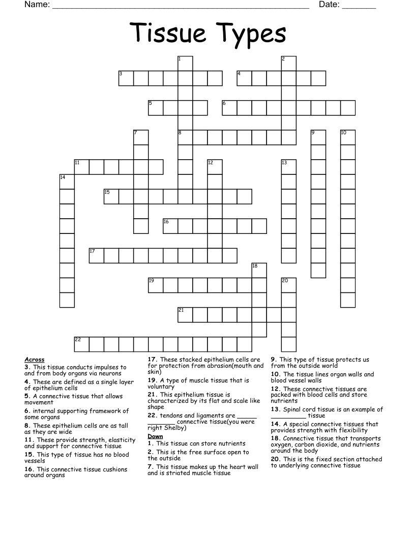 Tissue Types Crossword WordMint Tissue Types Crossword WordMint