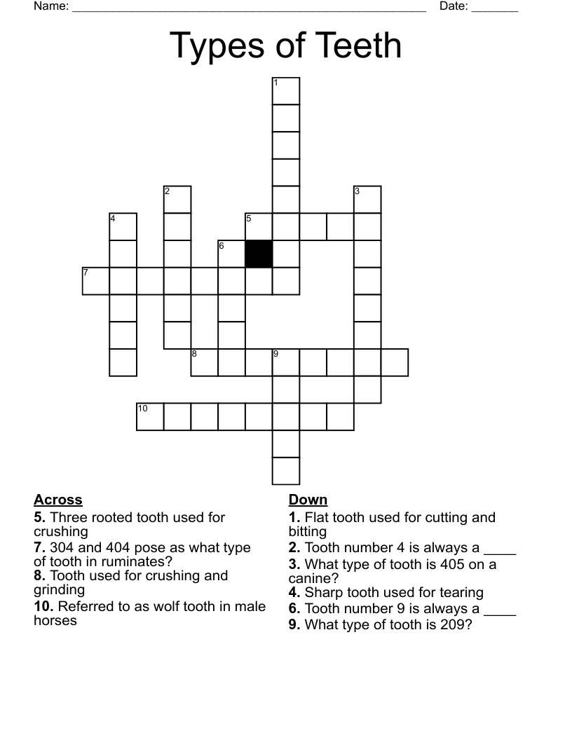 Types Of Teeth Crossword WordMint Types Of Teeth Crossword WordMint
