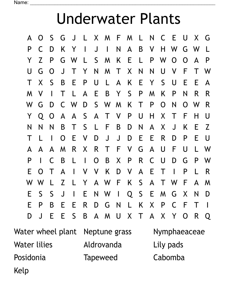 aquatic plant crossword