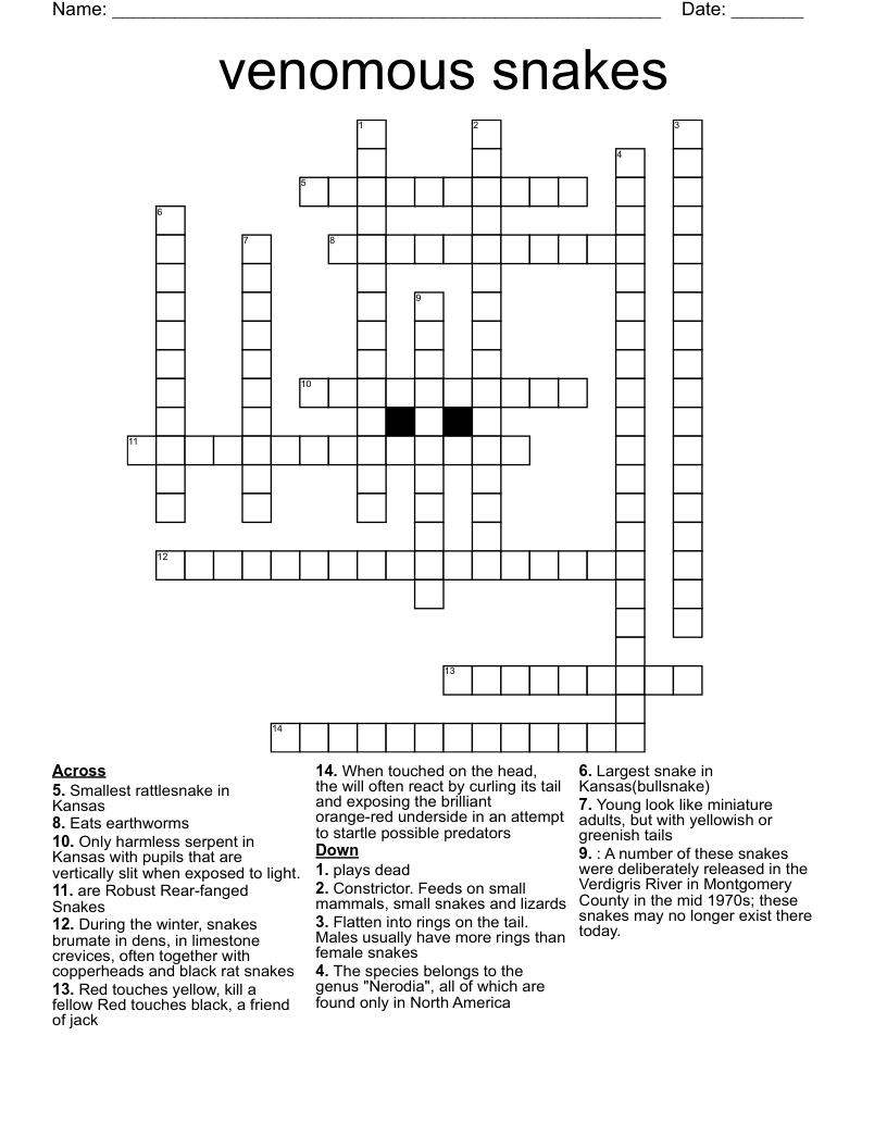 Venomous Snakes Crossword WordMint Venomous Snakes Crossword WordMint