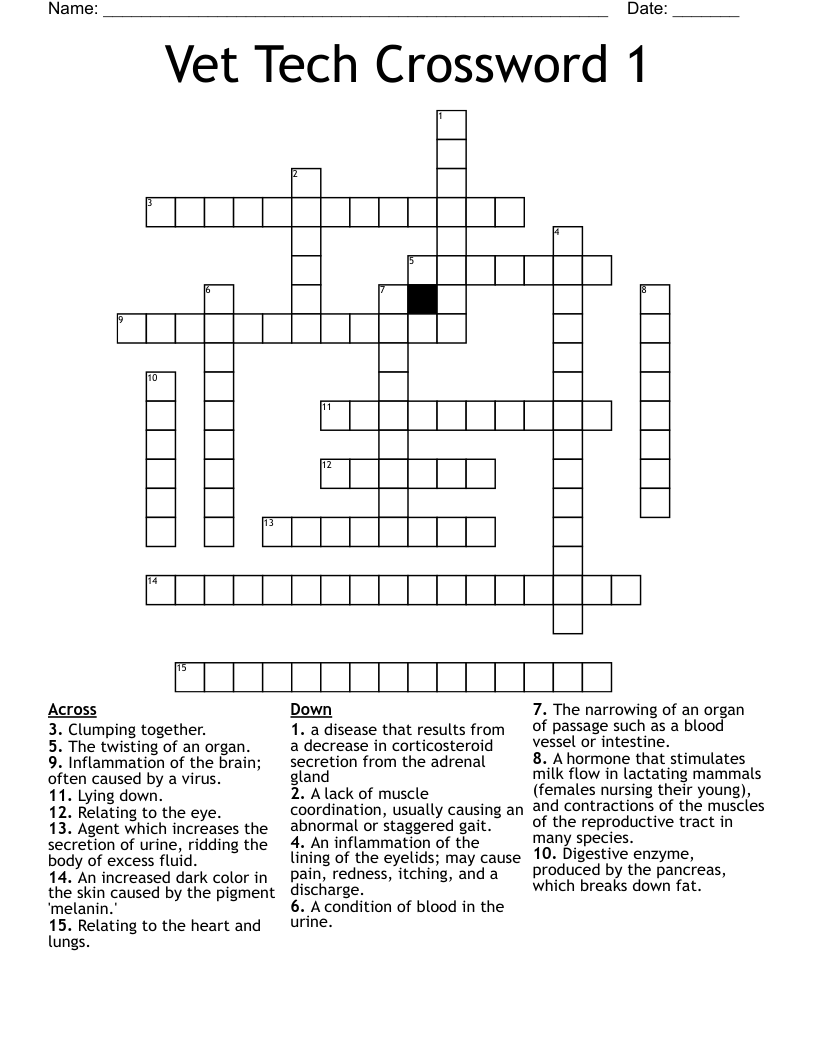 Vet Tech Crossword 1 WordMint Vet Tech Crossword 1 WordMint