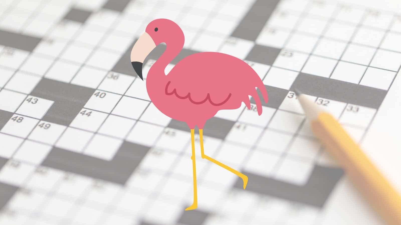 marsh bird crossword marsh bird crossword