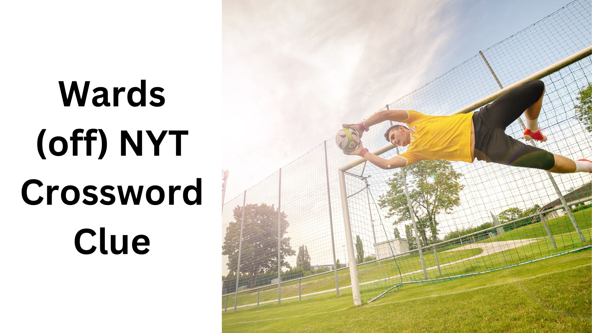 Wards off NYT Crossword Clue September 2 2024 Wards off NYT Crossword Clue September 2 2024