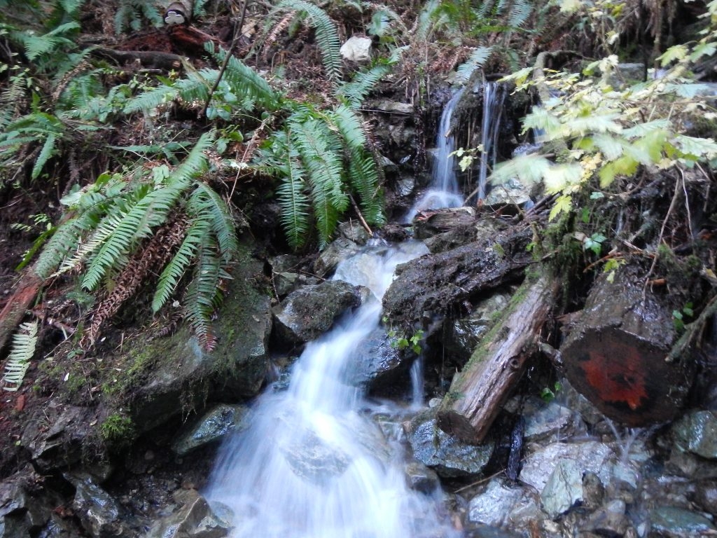 Washington Archives Jessb