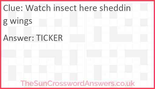 Watch Insect Here Shedding Wings Crossword Clue 