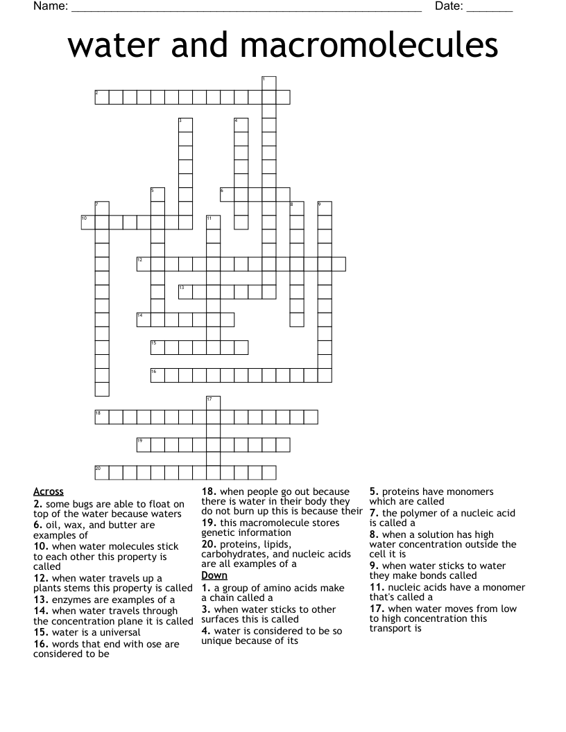 Water And Macromolecules Crossword WordMint