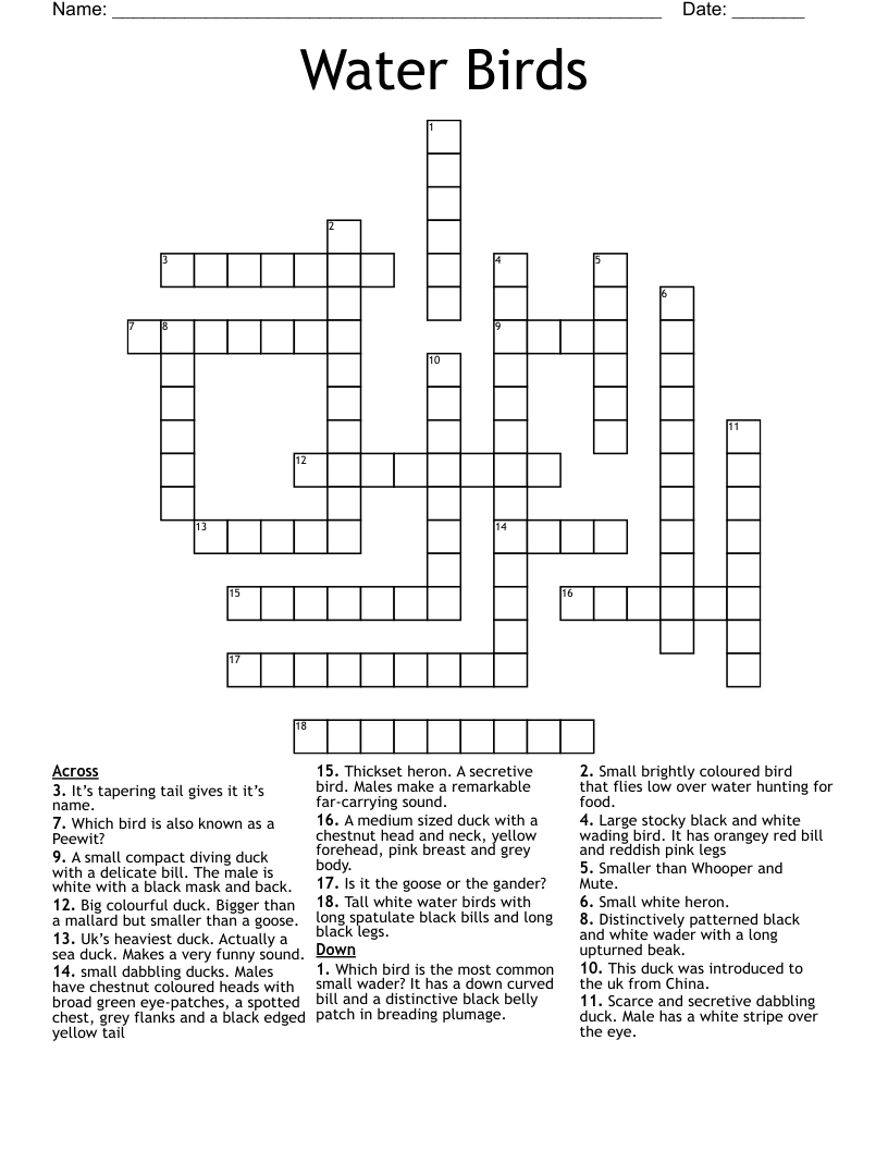 Water Birds Crossword WordMint