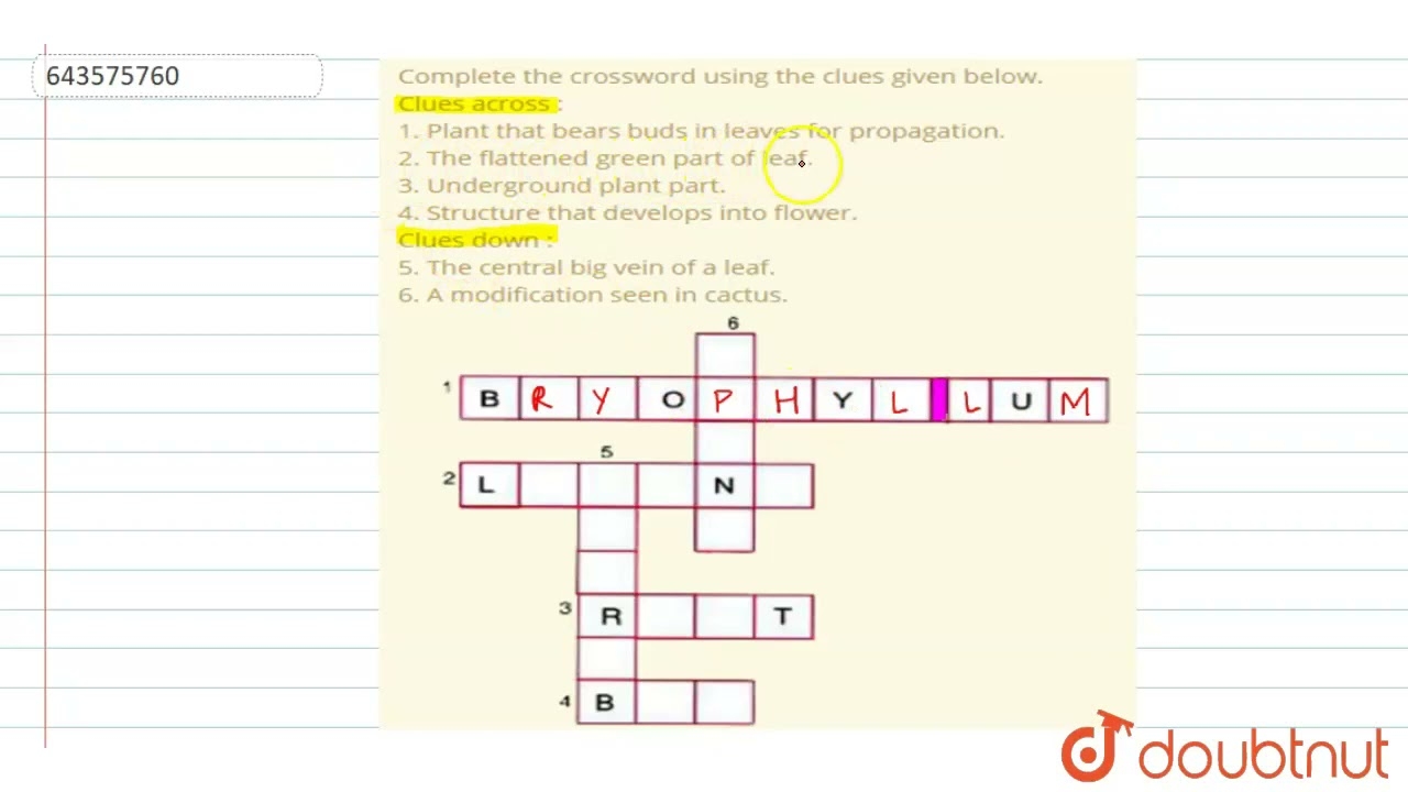 Water Flowers Crossword Puzzle Clue At James Fontanez Blog Water Flowers Crossword Puzzle Clue At James Fontanez Blog