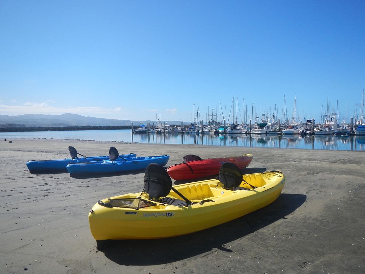 Watery Adventures On The Coastside Visit Half Moon Bay Watery Adventures On The Coastside Visit Half Moon Bay