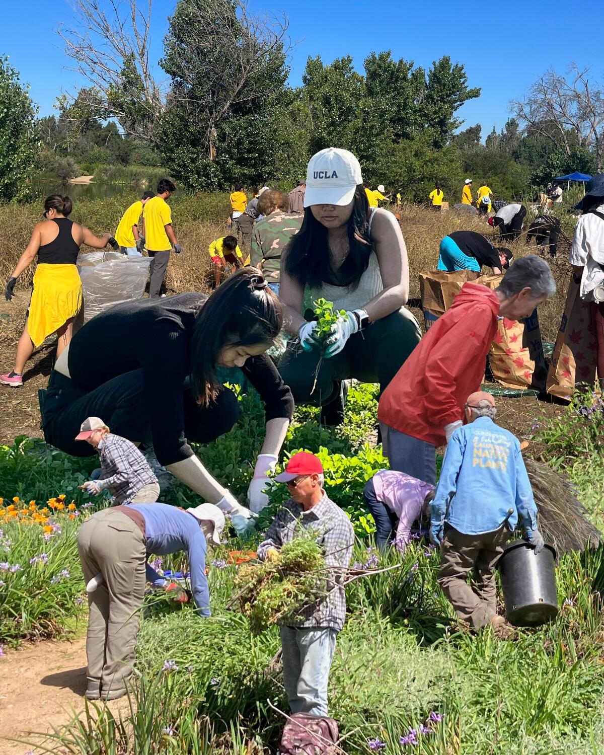 Where To Learn About Plants While Volunteering Around L A Los Angeles Times