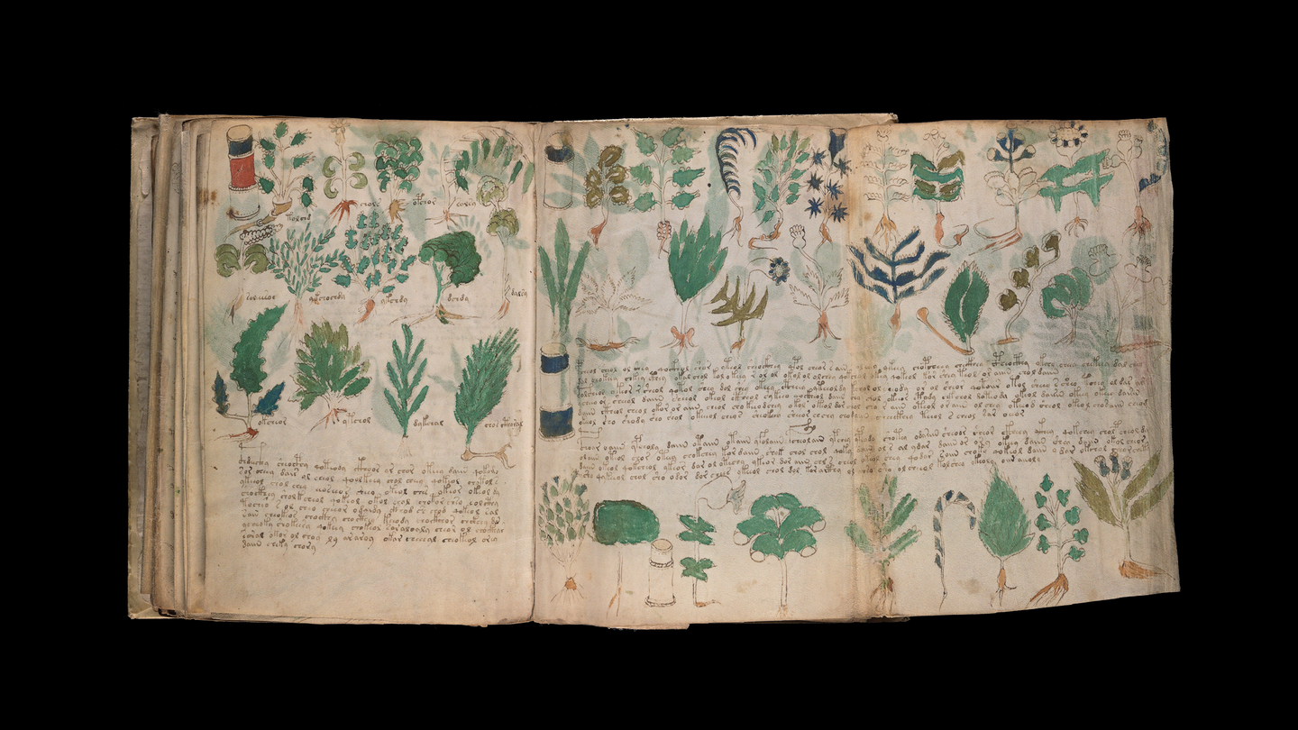 Will The Mystery Of The Voynich Manuscript Ever Be Solved The Atlantic Will The Mystery Of The Voynich Manuscript Ever Be Solved The Atlantic