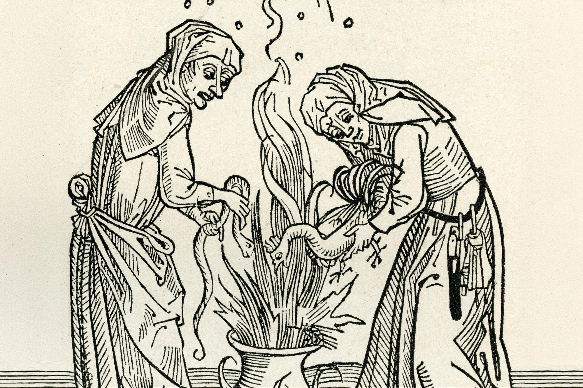 Witchcraft s Chemical Secrets How Alkaloids Phytochemicals And Traditional Plant Knowledge Shaped The History Of Magic And Medicine Chemistry World