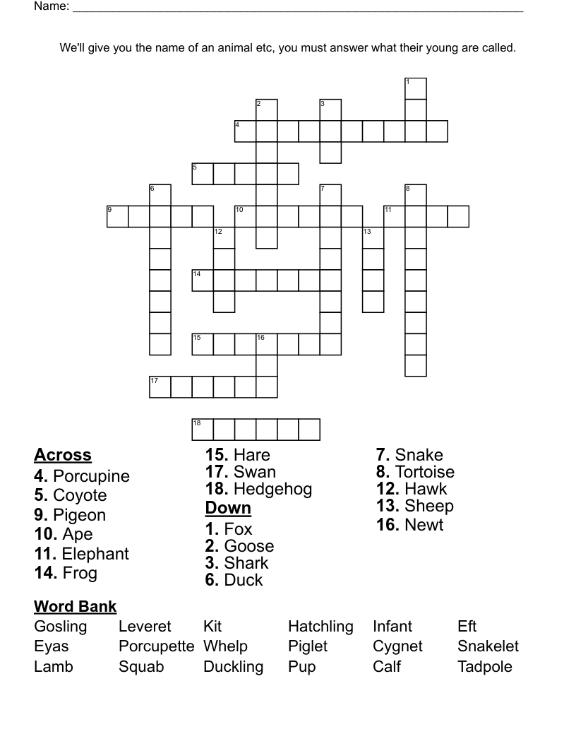 Woodland Babies Crossword WordMint Woodland Babies Crossword WordMint