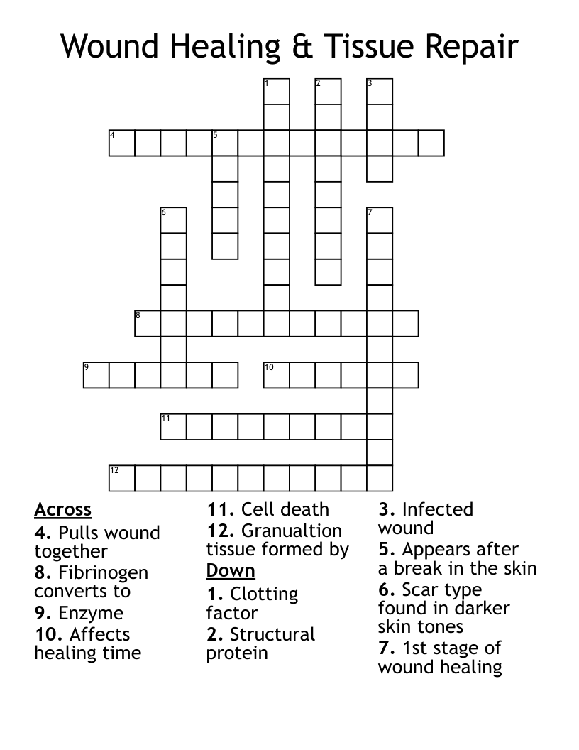 Wound Healing Tissue Repair Crossword WordMint