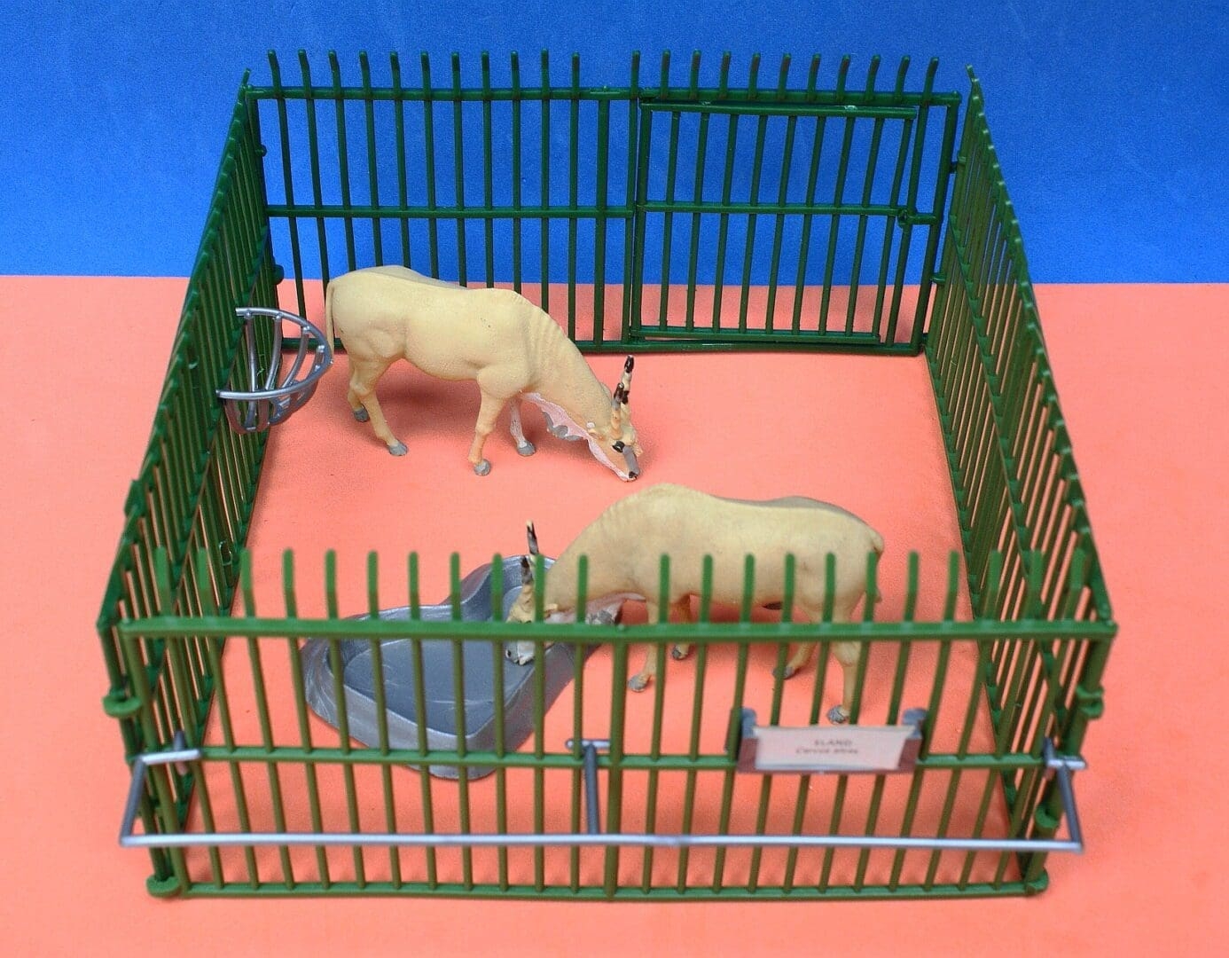 Zoo Resident Crossword Puzzle Clue At Rebecca Guay Blog